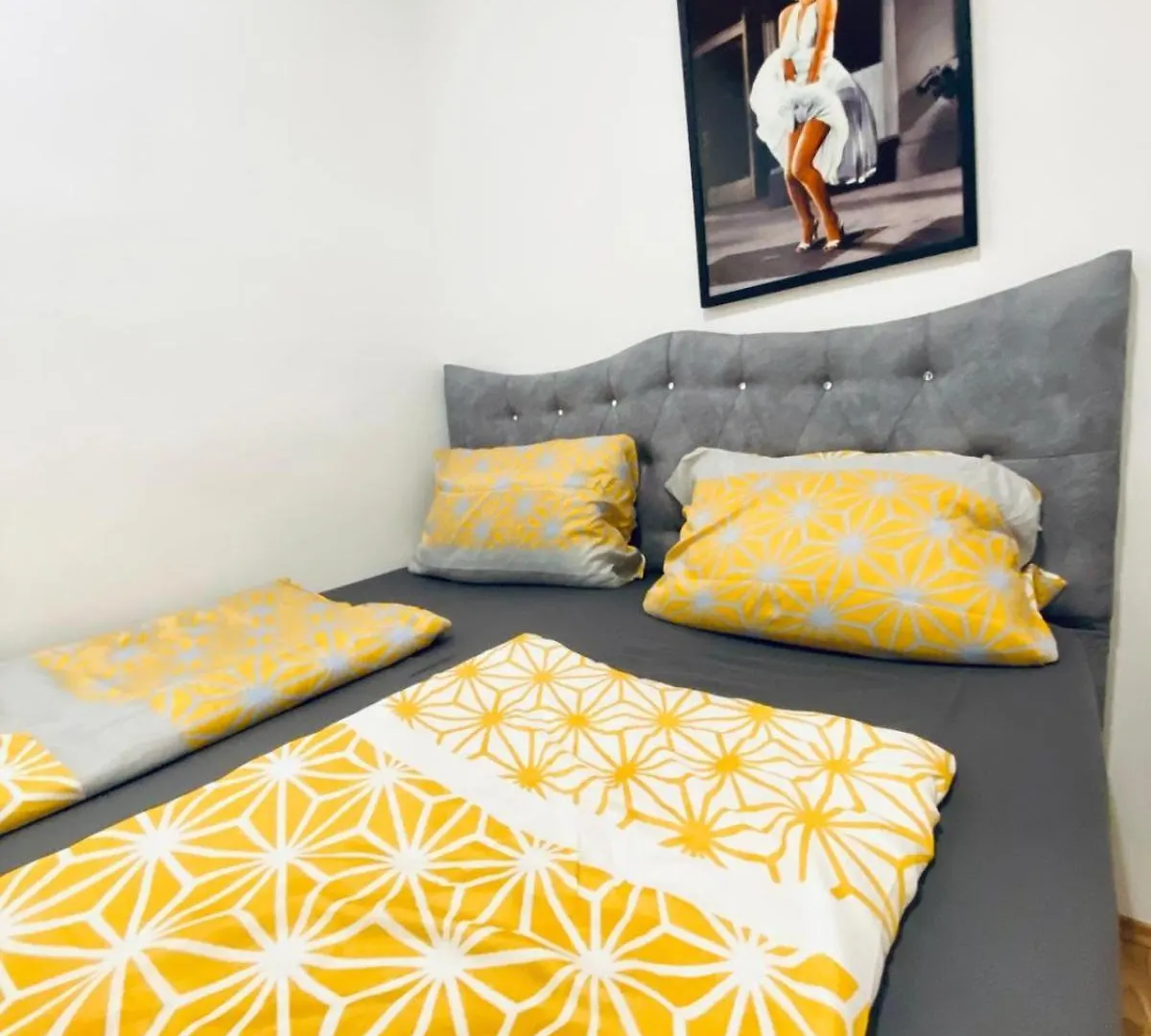 公寓 Comfy 3Br Apt In Prime Location 维也纳 奥地利